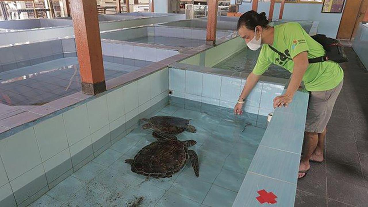 Pima Homestay Pesanggaran Dış mekan fotoğraf